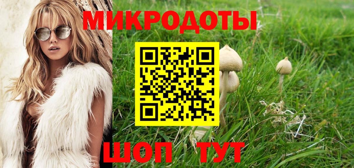 Псилоцибиновые грибы Cubensis Алейск