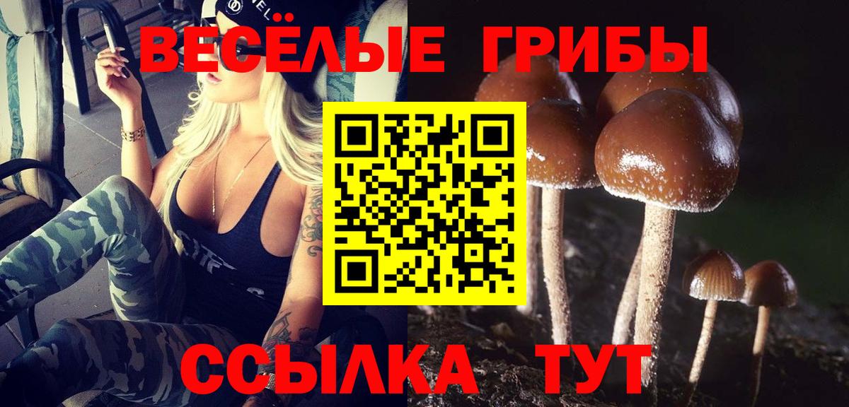Алейск  Галлюциногенные грибы Cubensis  Вход с VPN 
